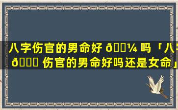 八字伤官的男命好 🌼 吗「八字 🐛 伤官的男命好吗还是女命」